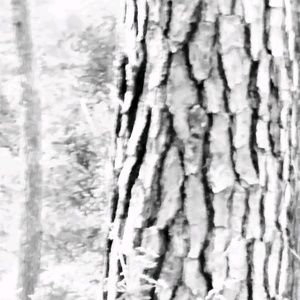 Meet your Posher, Terry